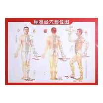 Guasha Wood Stick Tools Therapy Scraping Lymphatic Drainage Massager, Double Row 31 Beads Point Treatment Gua Sha Tools