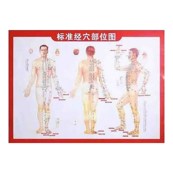 Guasha Wood Stick Tools Therapy Scraping Lymphatic Drainage Massager, Double Row 31 Beads Point Treatment Gua Sha Tools