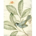 thumbnail image 2 of Gladding, Pamela 12x14 Gold Ornate Wood Framed with Double Matting Museum Art Print Titled - Bird And Branch II, 2 of 4