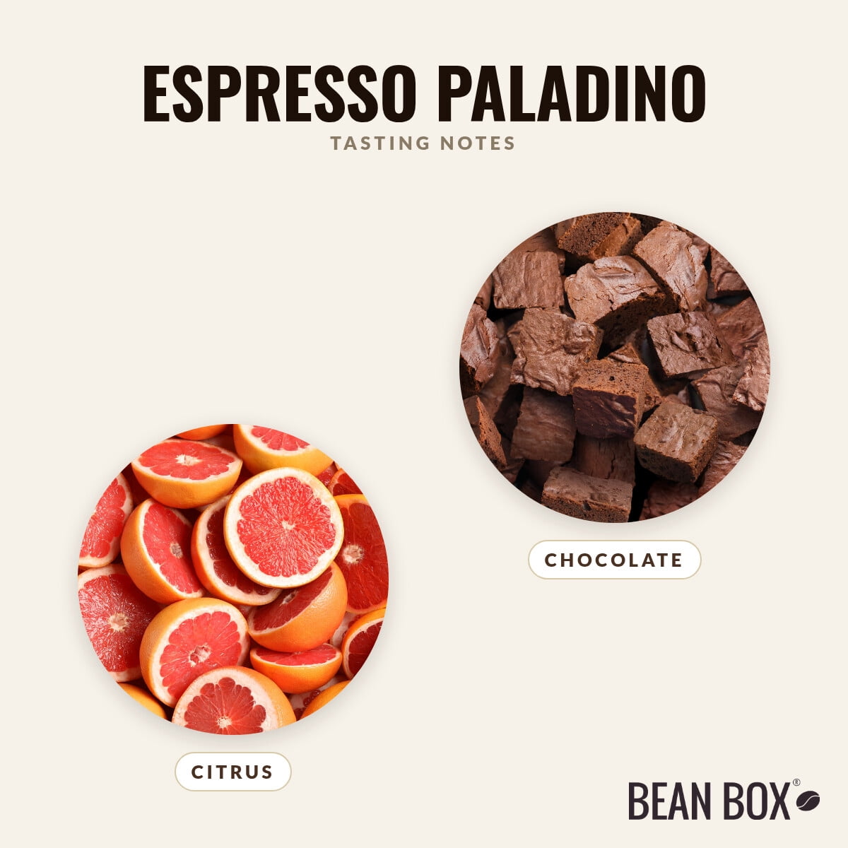 Espresso Paladino - Roasted by Zoka Coffee - Whole Bean Coffee - 12oz Bag