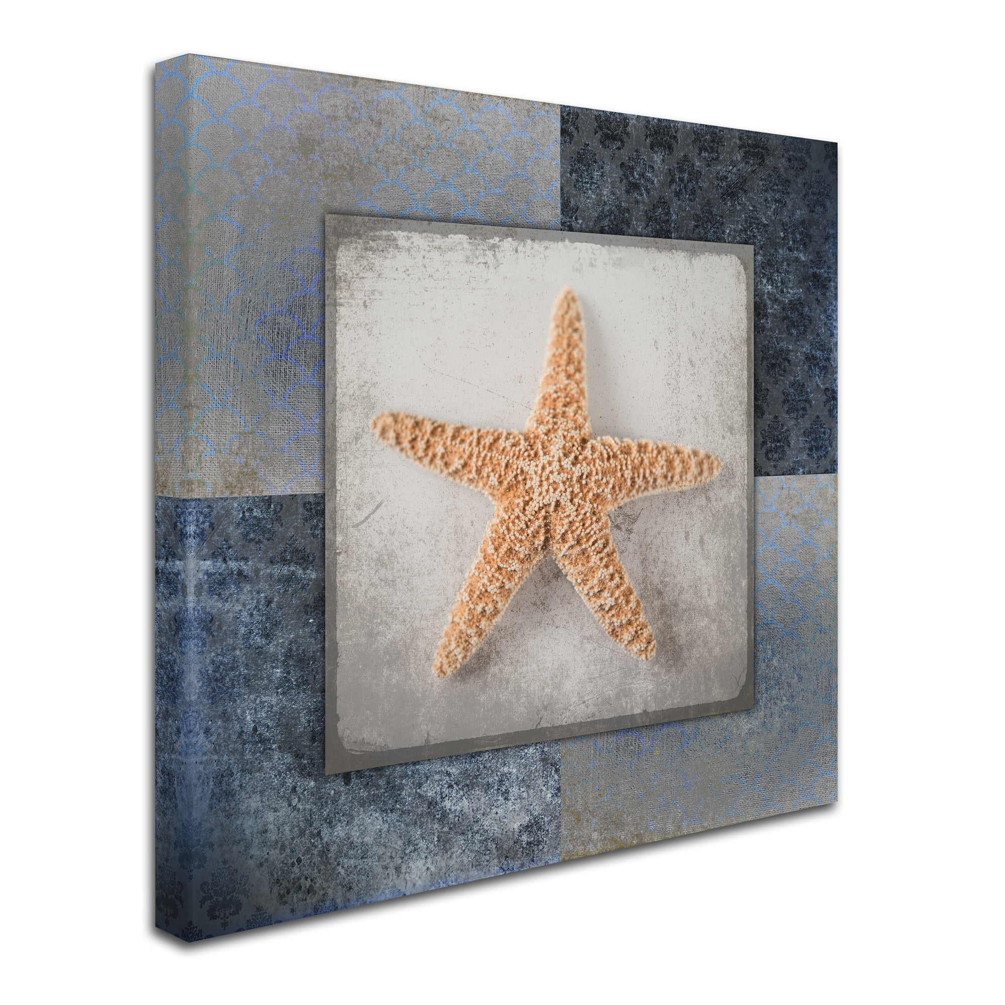 Trademark Fine Art 'Blue Star Fish' Canvas Art by LightBoxJournal