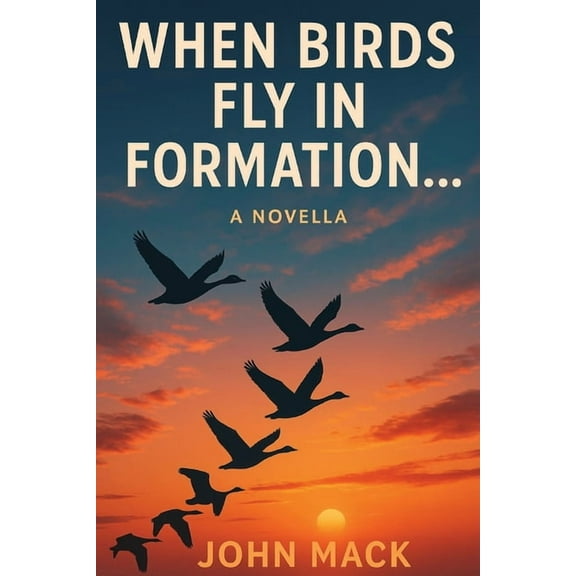 When Birds Fly In Formation, (Paperback)