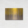 thumbnail image 3 of Luxe Metal Art 'Changing Seasons' by Darren White, Metal Wall Art, 36"x24", 3 of 9