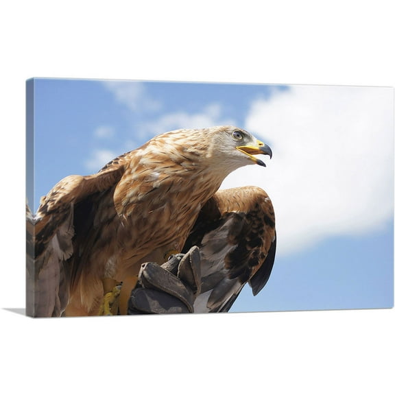 ARTCANVAS Golden Eagle Home Decor Canvas Art Print - Size: 26" x 18" (0.75" Deep)