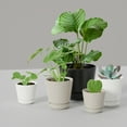 thumbnail image 3 of Mainstays Core 8.6" x 8.6" x 7.6" Round Rich Black Plastic Planter, 3 of 9