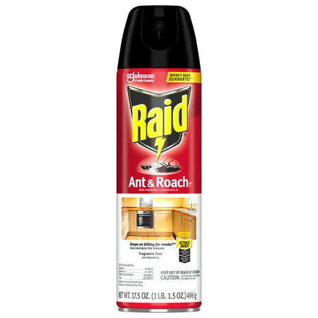 Raid Ant & Roach Killer, Indoor Insecticide Spray, Fragrance Free, 17.5 oz