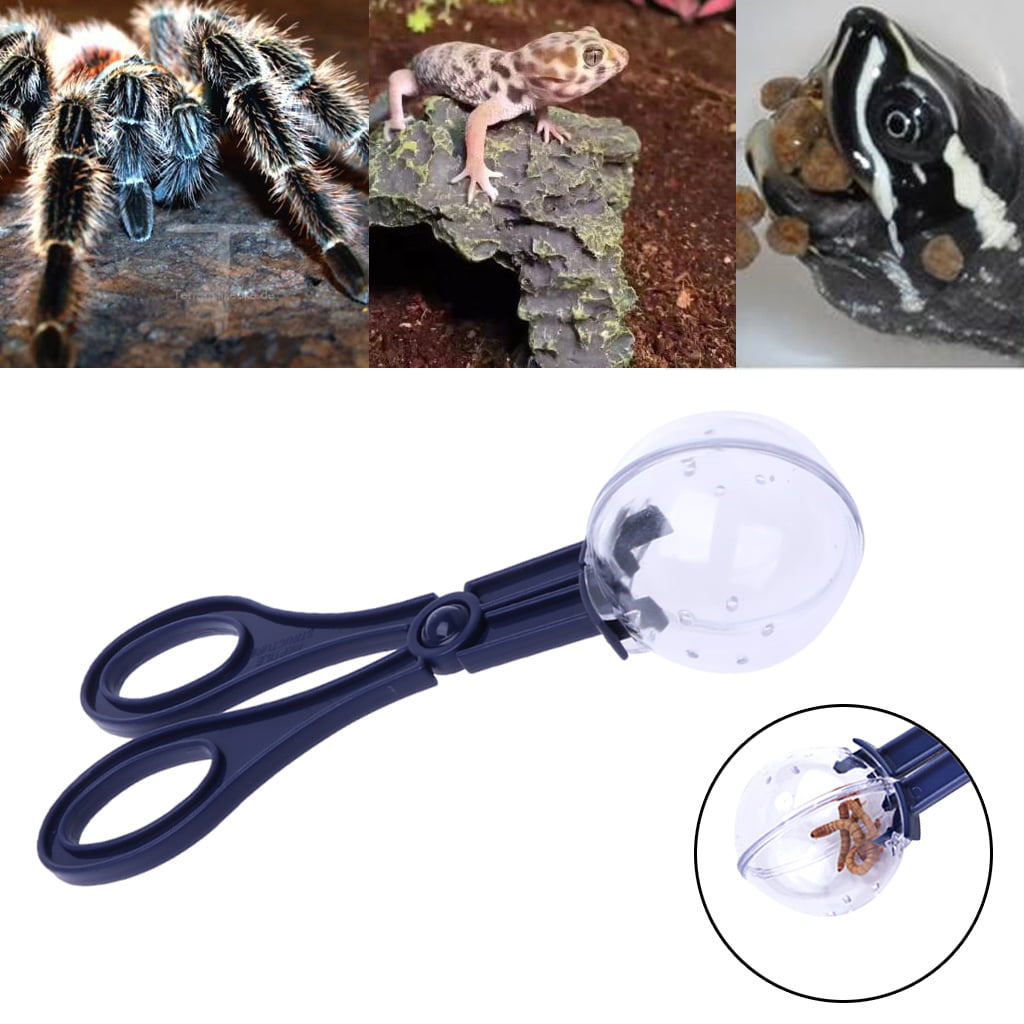 New High Quality Reptile Amphibian Feeding Litter Poop Cleaning Clamp Clip Tool 