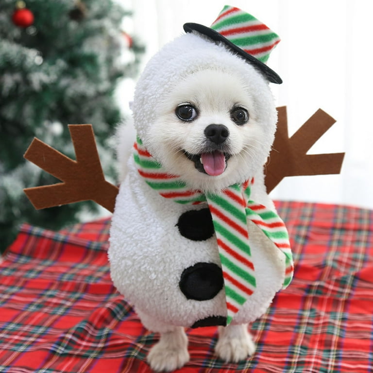 white christmas dresses Candy Cane Cutie Dog Dress