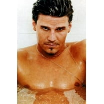 David Boreanaz Poster Metal Print 12In x 16In 12x16 Multi-Color Square Adults Poster Time