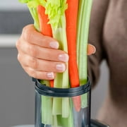 Oster Self-Cleaning Professional Juice Extractor, Stainless Steel Juicer, Auto-Clean Technology, XL Capacity