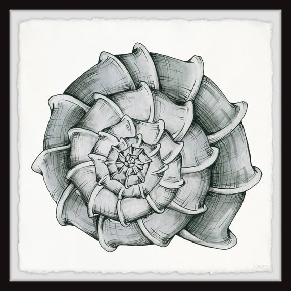 Parvez Taj Blooming Shell Framed Wall Art