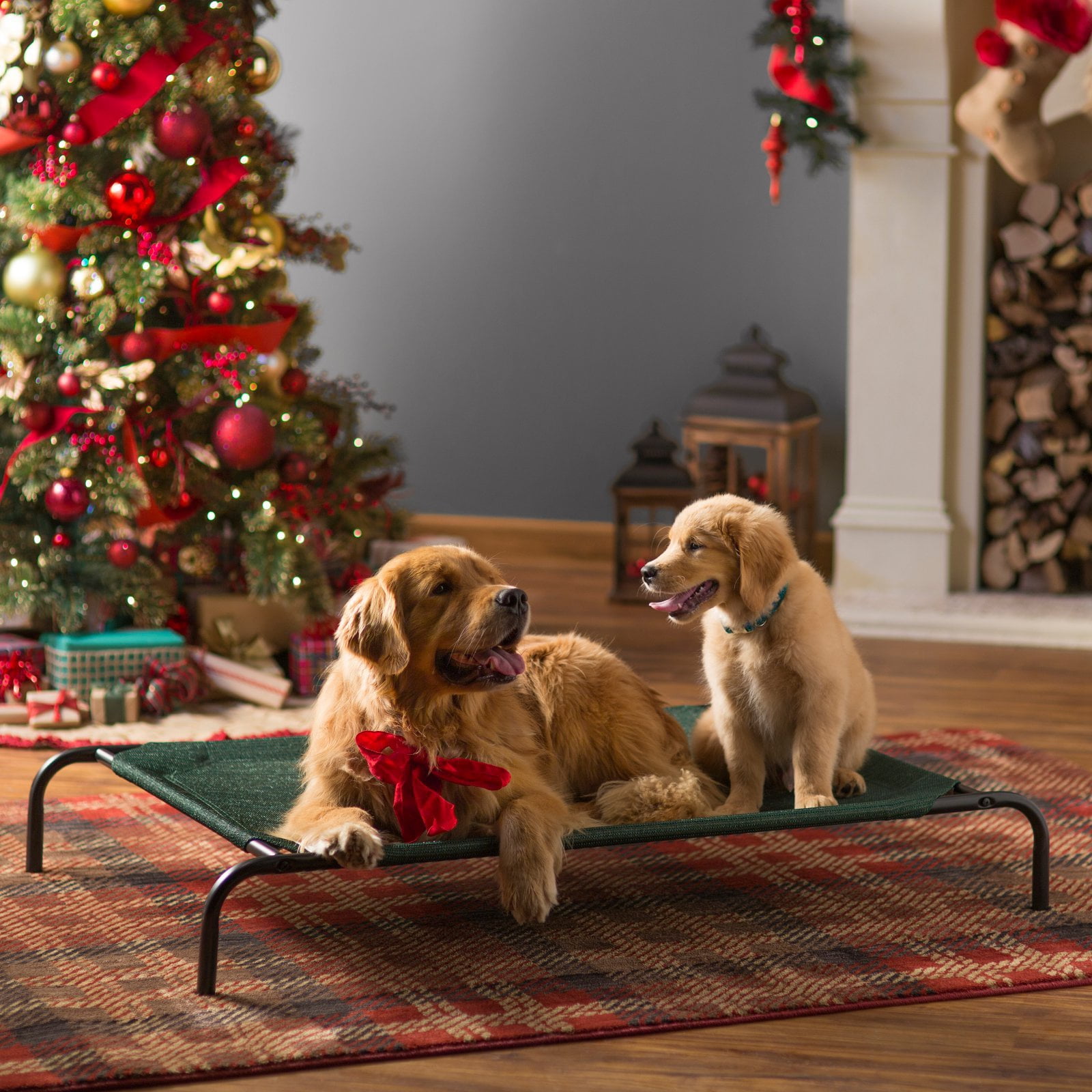 The Original Coolaroo Elevated Pet Dog Bed for Indoors & Outdoors, XL, Green