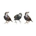 thumbnail image 3 of CafePress - Cute Starling Trio Mug - 11 oz Ceramic Mug - Novelty Coffee Tea Cup, 3 of 6