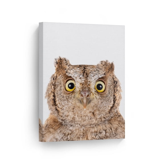Smile Art Design Portrait of Eurasian Scops Owl Wild Animal Canvas Wall Art Print Nature African Safari Exotic Wildlife Office Living Room Bedroom Kids Baby Nursery Room Decor Ready to Hang - 12x8