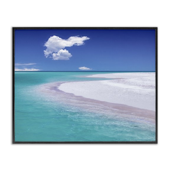 Stupell Industries Tropical Tropical Beach Shoreline Black Framed Giclee Art, 14 x 11, by Dennis Frates