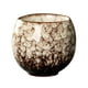 thumbnail image 1 of Exquisitas tazas de té japonesas, taza de té Kung Fu, taza de té para cafetería, ceremonia del té, fiesta J, 1 of 9