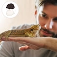 thumbnail image 4 of WEAVILUX 2Ud De Y Comida Para Reptiles En Colores Variados, 4 of 7