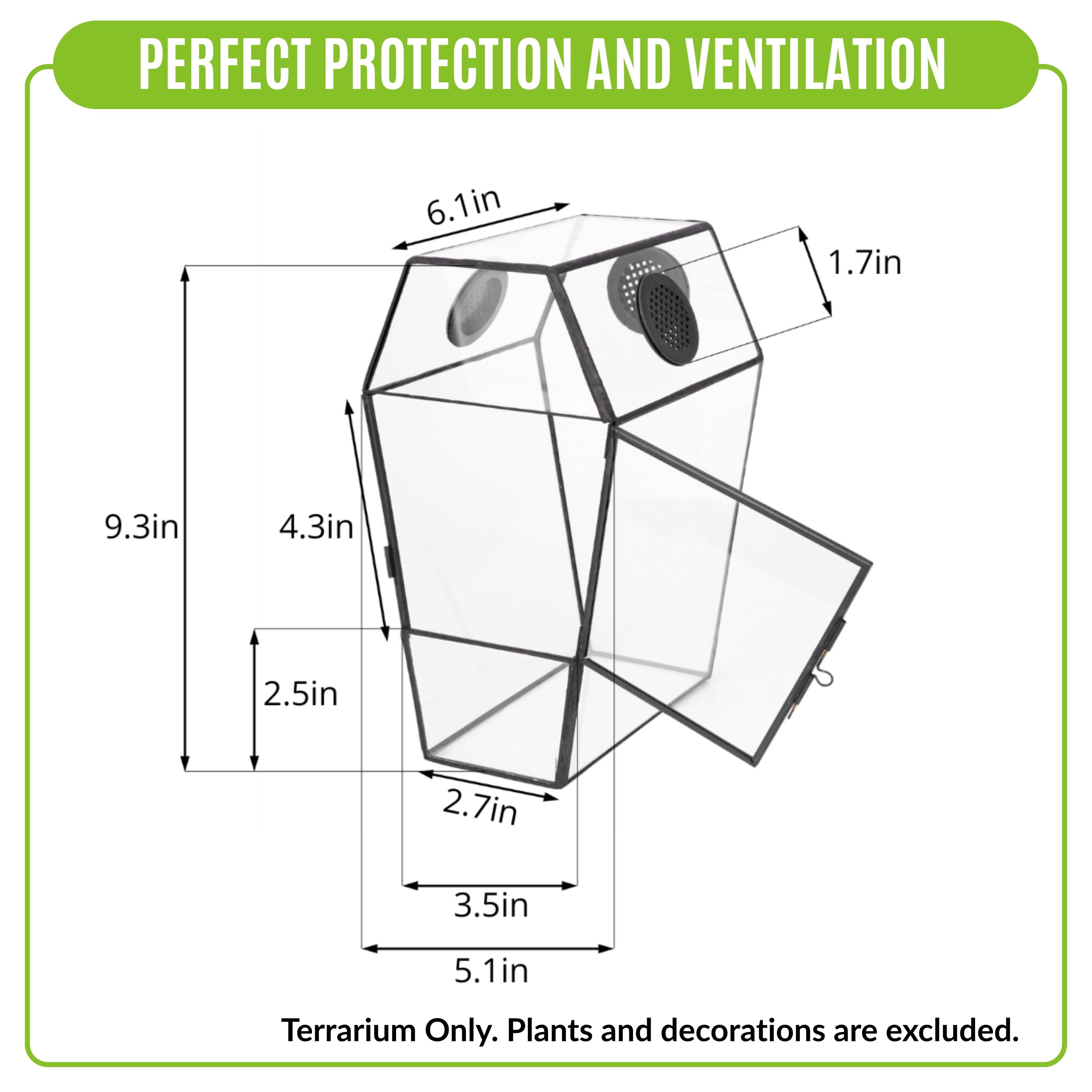 NCYP Gothic Glass Enclosure for Jumping Spider, Snails, Insects - Front Opening Door Geometric Cactus Plants Terrarium with Vent Holes, Indoor Tabletop Coffin Shape Decor, Black (Terrarium Only)