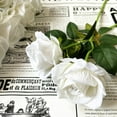 thumbnail image 4 of Xiao Hua Rosas blancas artificiales 12 rosas con tallo de seda de tacto real, ramo de rosas adecuado para el hogar, bodas, fiestas, flores de jardín y decoración de rosas., 4 of 5