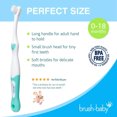 thumbnail image 4 of FirstBrush™ First Baby Toothbrush (0-18 months) Double Pack (Pack of 6 Mixed Colours) | Baby's First Toothbrush, 4 of 9