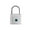 Silver, variant on Smart Fingerprint Padlock Waterproof Keyless Door Lock USB Rechargeable Security for House Unlock ,Easy Installation