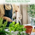 thumbnail image 6 of 4Pcs Plastic Moss Pole for Plants Monstera, Climbing Plants, Plant Support for Indoor Plants, 9.8 Inch, 6 of 7
