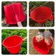 thumbnail image 4 of BESTYASH 2Ud De Cucharas Para De Jardín Plástico Con Cabezas Intercambiables, 4 of 7