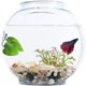 thumbnail image 4 of Almohadilla de desove para peces Betta, ambiente natural, decoración de acuarios, decoración de acuarios para peces Betta (1 unidad), 4 of 5