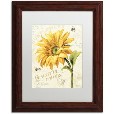 Trademark Fine Art "Under the Sun II" Canvas Art by Lisa Audit, White Matte, Wood Frame