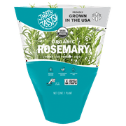 Rosemary Potted 6in