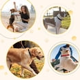 thumbnail image 2 of Adjustable Padded Dog Training Collar - Quick Release, Sustainable Nylon & Stainless Steel, Suitable for Small to Extra Large Dogs, Ideal for Outdoor Activities, All-Season Use, 2 of 6