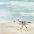 thumbnail image 3 of Borges, Victoria 12x12 Black Modern Framed Museum Art Print Titled - Speckled Willet II, 3 of 5