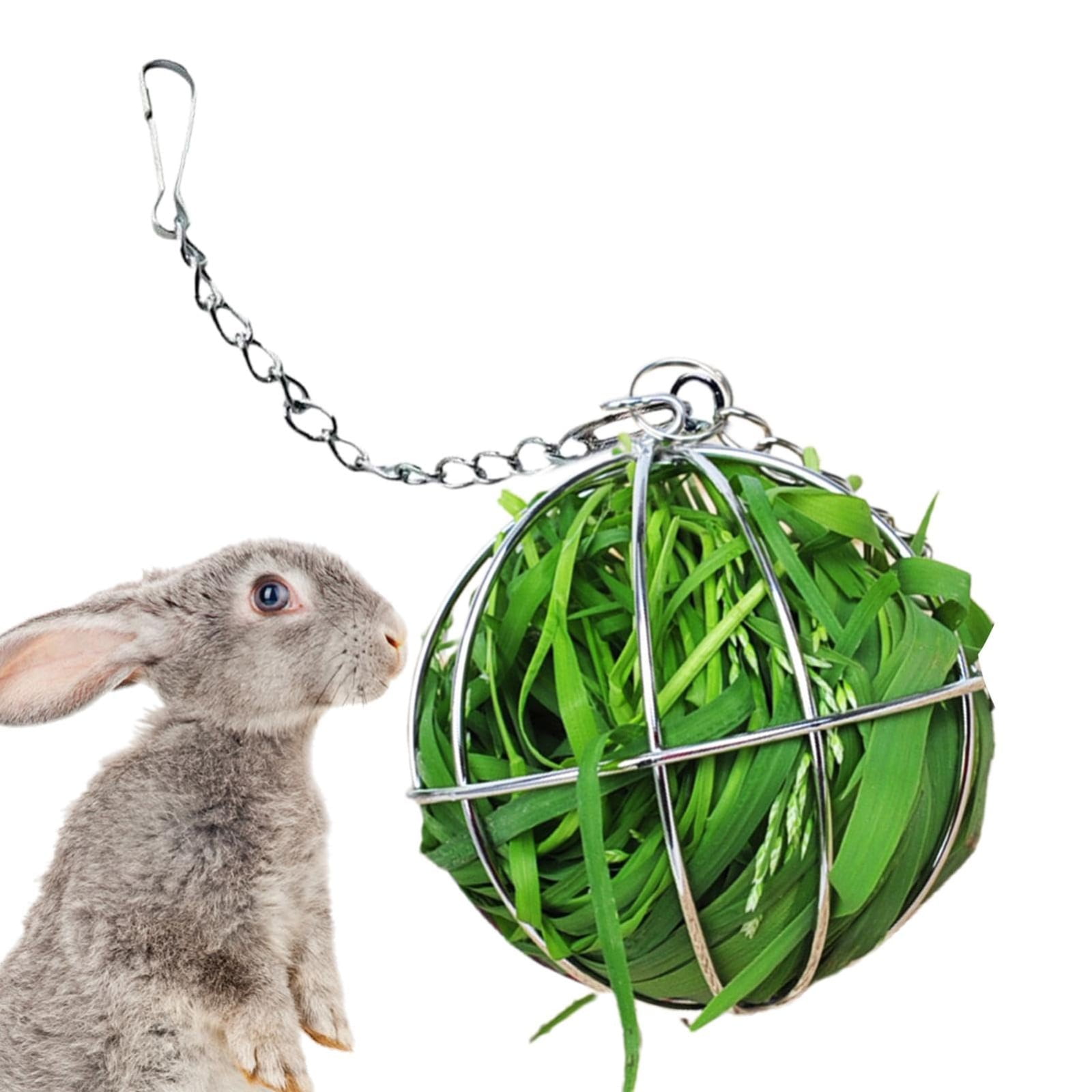 Hovmgk Hanging Grass Rack for Small Animals, Electroplated Stainless Steel Feeder for Guinea Pigs, Rabbits, Chinchillas, Large Capacity Grass Holder, Space-Saving Design for Pet Cages