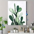 thumbnail image 4 of Green Cactus Decor Art/Canvas Print，Suitable for Living Room， Bedroom， Office， Dining Room， Kitchen， Hallway， Entryway， Study， Bathroom and as a Modern Wall Art Decoration with Natural Botanic Theme., 4 of 8