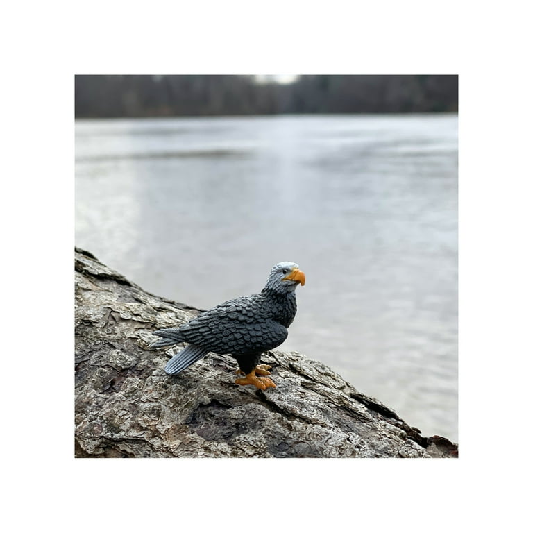 Safari Ltd. Toob Ecosistema Fluviale - 10 Figure Di Animali: Aquila, Castoro, Alligatore E Altri - Giocattoli Educativi Per Bambini 3+ - 2