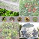 thumbnail image 2 of Mallas de jardín RIFNY, paquete de 2 unidades, 3 x 10 m, malla ultrafina, 2 of 6