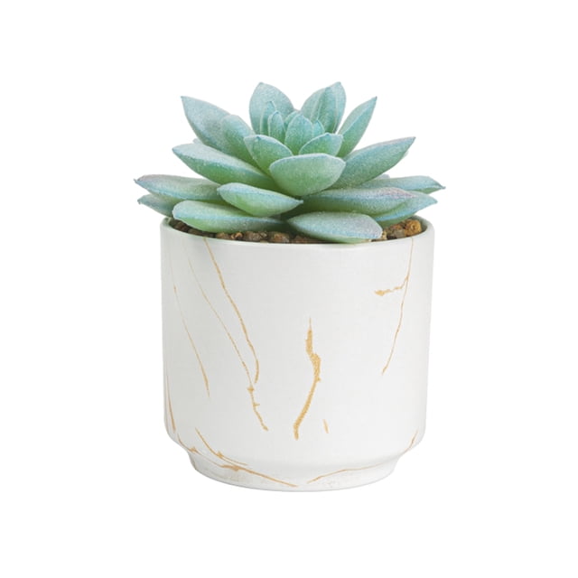 maskred 4pack/lot Exquisite Crafted Succulent Plant With Good Hand Feeling - Realistic Appearance Non-toxic ES1438-13