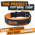 thumbnail image 3 of Mighty Paw Sport Collar 2.0 | Soft Neoprene Padded Dog Collar for Maximum Comfort. (Orange) (Medium), 3 of 9