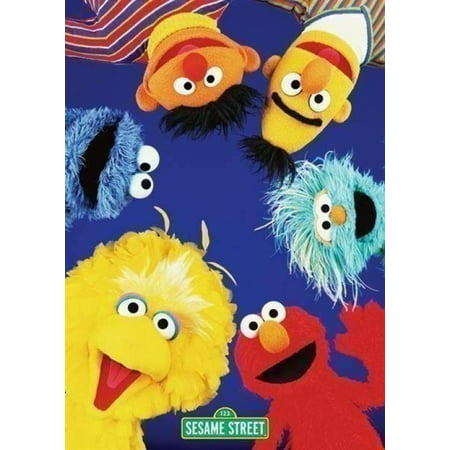 Sesame Street Cast Laminated Poster By (24 X 36)