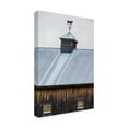 thumbnail image 2 of Trademark Fine Art 'Rustic Weathervane' Canvas Art by Brenda Petrella Photography Llc, 2 of 3
