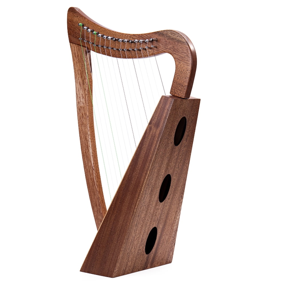 stringed instrument