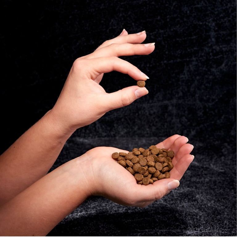 Crave Grain Free Adult Dry Dog Food, Chicken Protein, 4 Lb photo 4