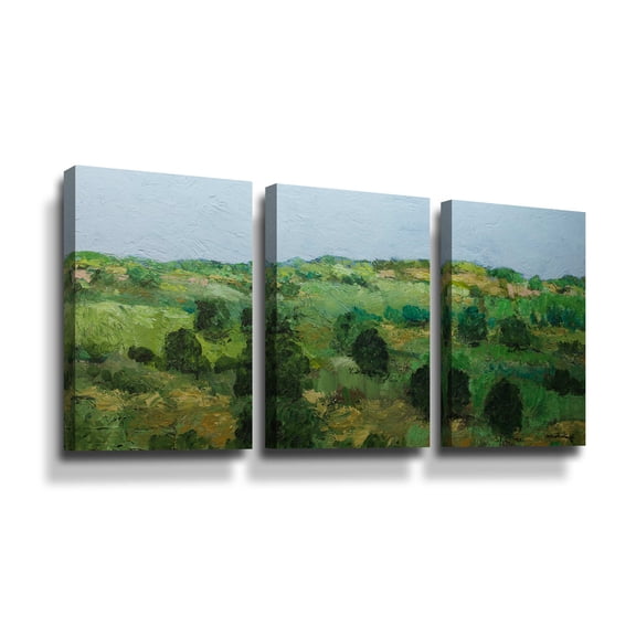 Artwall Just Roll Along, 3 Piece Gallery Wrapped Canvas Set by Allan Friedlander