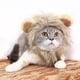 thumbnail image 1 of Sombrero De Peluca De Gato Gato Juguete Peluca León Sombrero Ajustable Cálido Accesorios Decorativos (Marrón Oscuro 28cm), 1 of 6