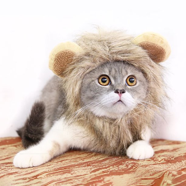 Sombrero De Peluca De Gato Gato Juguete Peluca León Sombrero Ajustable Cálido Accesorios Decorativos (Marrón Oscuro 28cm)