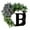 B, variant on Last Name Year Round Front Door Wreath ,26 Letter Farmhouse Wreath Wooden Hanging Sign Door Decoration Wreath,All Seasons Wreath for Home Indoor Outdoor Decoration - A,14.96inch