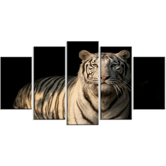 Design Art White Bengal Tiger on Black Canvas Print
