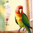 thumbnail image 2 of Juguetes para loros resistentes al desgaste, juguetes masticables para pájaros, juguetes divertidos para ardillas, suministros para loros, 2 of 7