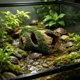 thumbnail image 4 of Cueva de árbol artificial para reptiles con terraza de asoleo y cuevas ocultas para tortugas, lagartos y recintos de reptiles, verde, plástico, múltiples tamaños, 4 of 6