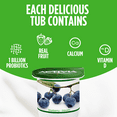 thumbnail image 4 of Activia Probiotic Yogurt, Vanilla/Blueberry, 12x100g, 4 of 8